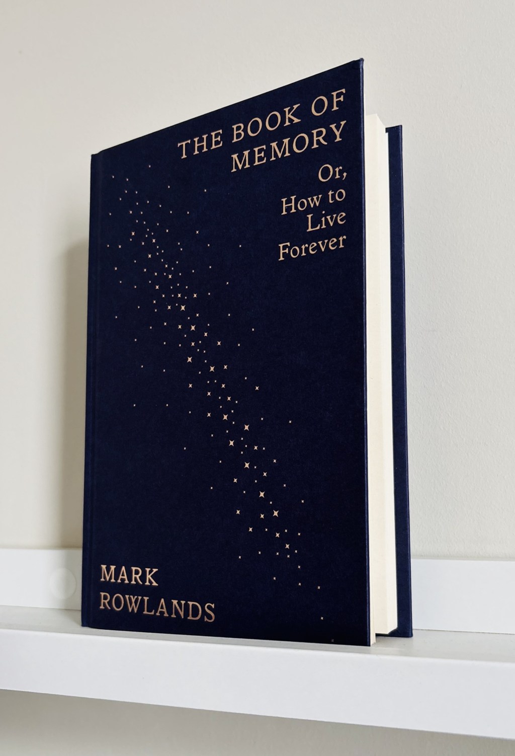 Get Yer Books Out: The Book of Memory – Mark&nbsp;Rowlands
